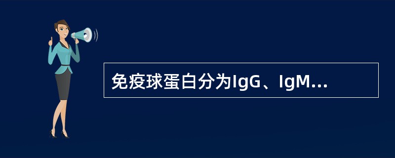 免疫球蛋白分为IgG、IgM、IgA、IgE和IgD5类,其主要依据是A、VL的