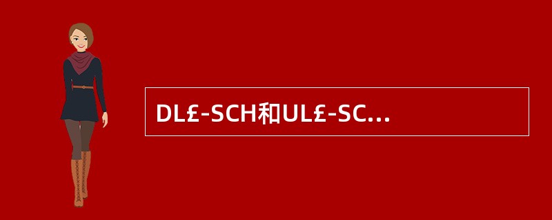 DL£­SCH和UL£­SCH使用哪种编码方式()
