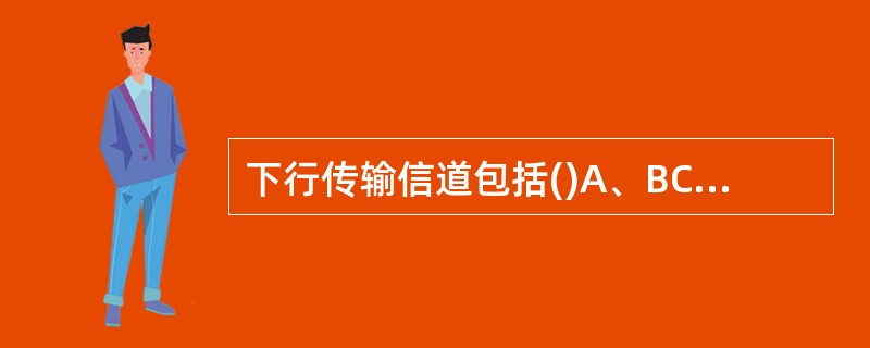 下行传输信道包括()A、BCHB、DL£­SCHC、PCHD、MCH