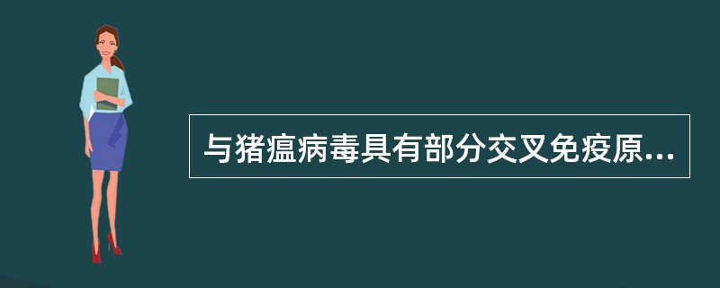 与猪瘟病毒具有部分交叉免疫原性的病原是