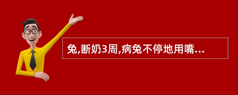 兔,断奶3周,病兔不停地用嘴啃咬脚部或用脚搔抓嘴、鼻处解痒。病爪上出现灰白色痲皮