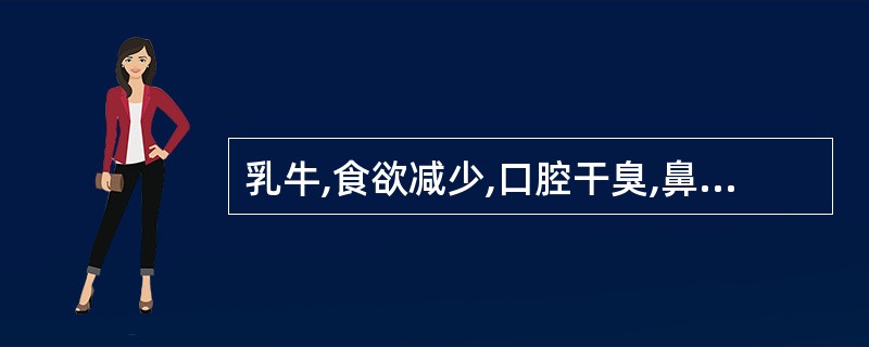 乳牛,食欲减少,口腔干臭,鼻镜干燥,反刍停止。肠蠕动音减弱,排粪停止。两后肢交替