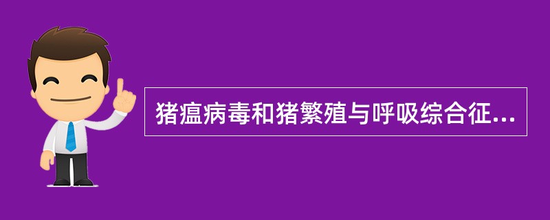 猪瘟病毒和猪繁殖与呼吸综合征病毒感染猪群后,常常表现为( )。A、混合感染B、局