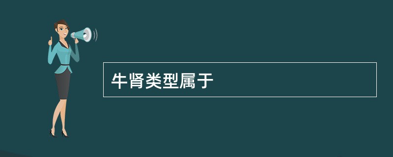 牛肾类型属于