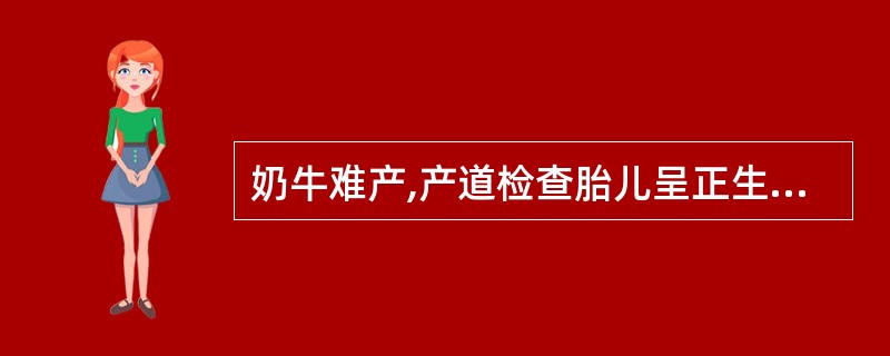 奶牛难产,产道检查胎儿呈正生,判断胎儿是否死亡最常用的方法是