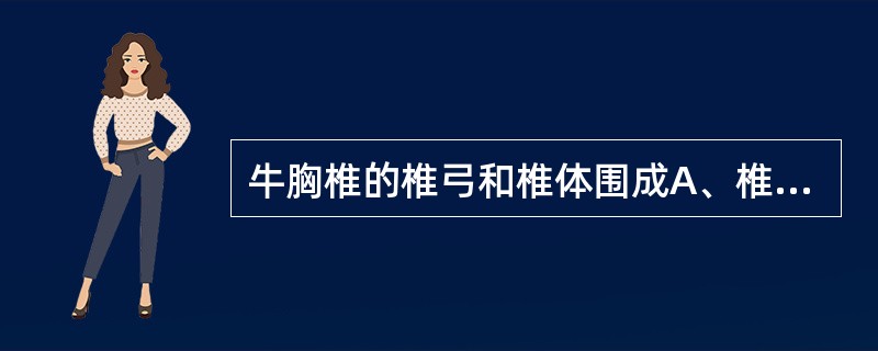 牛胸椎的椎弓和椎体围成A、椎管B、椎孔C、椎间孔D、横突孔E、椎骨切迹