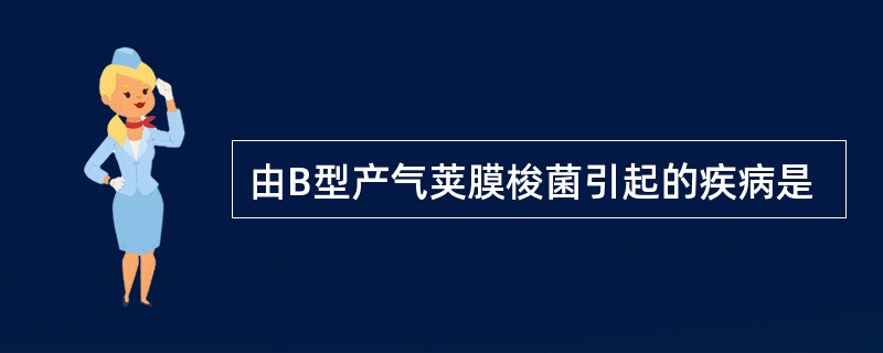 由B型产气荚膜梭菌引起的疾病是