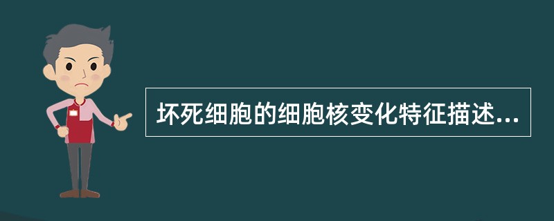 坏死细胞的细胞核变化特征描述错误的是()A、浓缩B、变性C、碎裂、溶解D、肿大