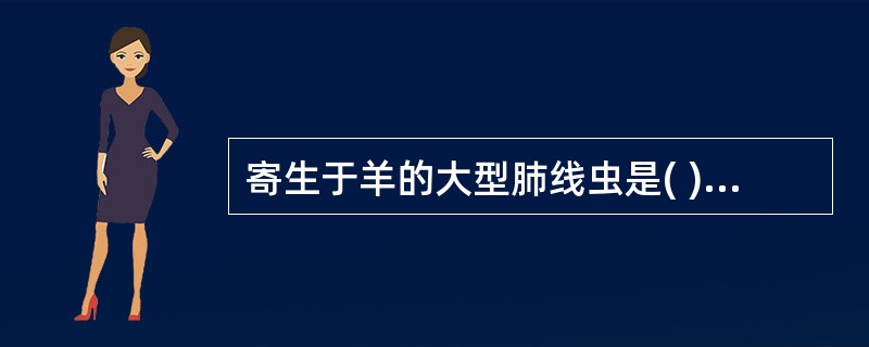 寄生于羊的大型肺线虫是( )A、丝状网尾线虫B、胎生网尾线虫C、安氏网尾线虫D、