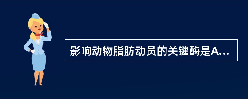 影响动物脂肪动员的关键酶是A、激素敏感脂肪酶B、脂蛋白脂肪酶C、磷酸甘油激酶D、