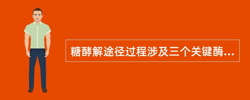 糖酵解途径过程涉及三个关键酶,它们分别是己糖激酶、磷酸果糖激酶和丙酮酸激酶,其中