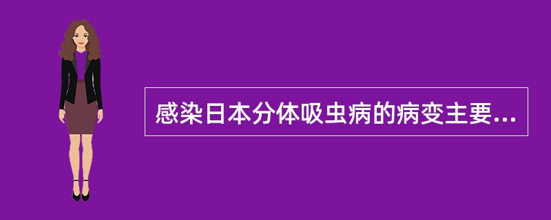 感染日本分体吸虫病的病变主要集中在A、肠道、肝脏、脾脏B、肺脏、肾脏、淋巴结C、