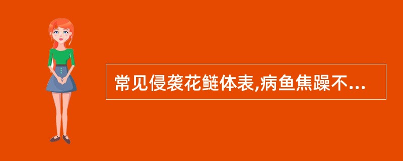 常见侵袭花鲢体表,病鱼焦躁不安、消瘦,甚至大批死亡。有时寄生鱼眼和口腔,影响鱼类