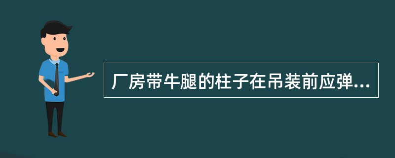 厂房带牛腿的柱子在吊装前应弹安装中心线的部位是()。