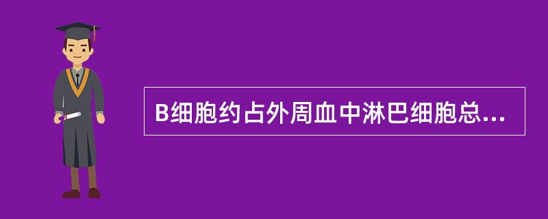 B细胞约占外周血中淋巴细胞总数的()