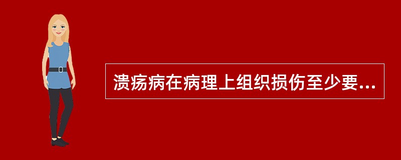 溃疡病在病理上组织损伤至少要深达()