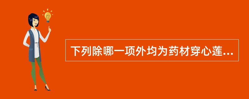 下列除哪一项外均为药材穿心莲的性状鉴别特征A、茎方形,多分枝B、节稍膨大C、叶片