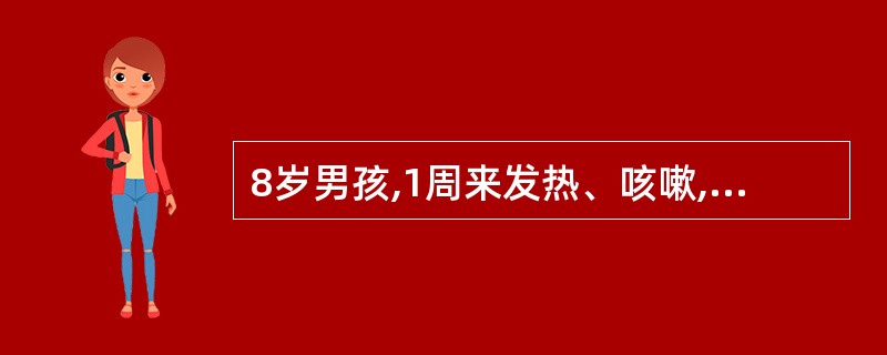 8岁男孩,1周来发热、咳嗽,2天来加重,服用青霉素3天无效。查体:体温38℃,右