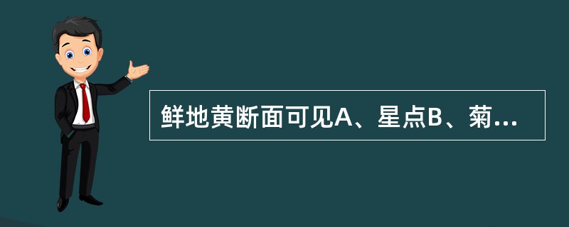 鲜地黄断面可见A、星点B、菊花心C、橘红色油点D、棕色油室E、黄色树脂道