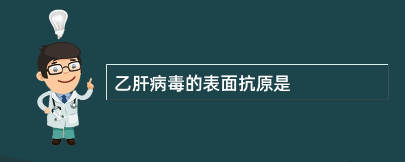 乙肝病毒的表面抗原是