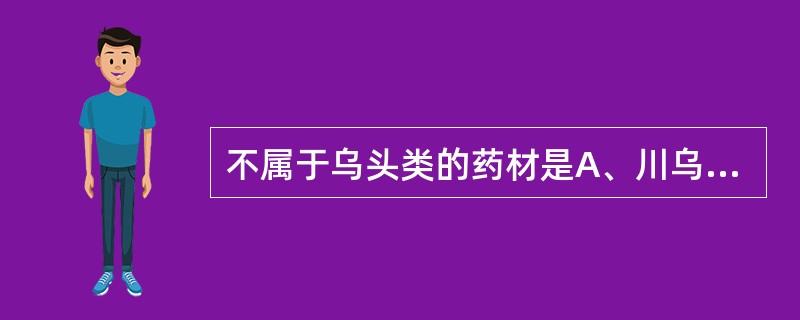 不属于乌头类的药材是A、川乌B、草乌C、白附片D、白附子E、天雄