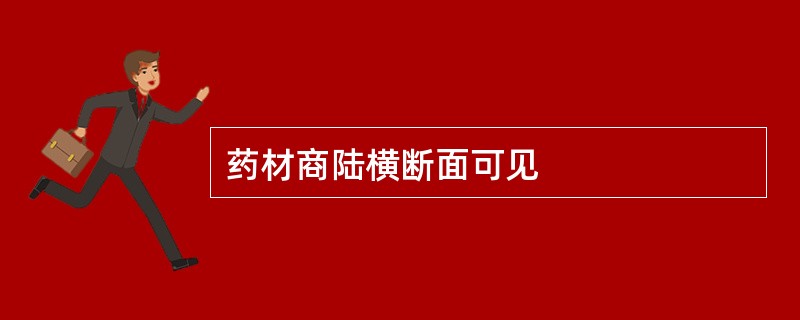 药材商陆横断面可见