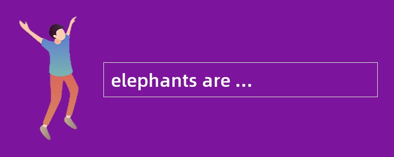 elephants are different from wild elepha