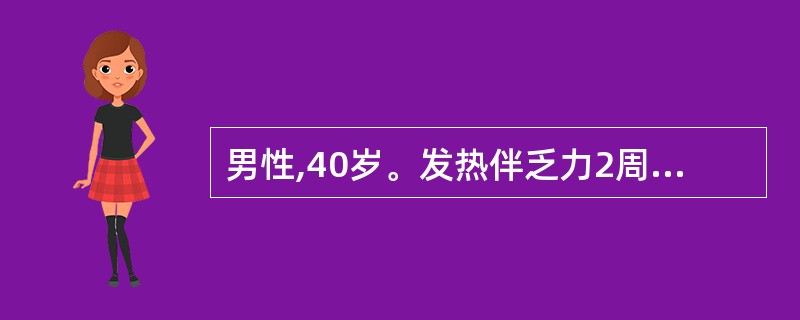 男性,40岁。发热伴乏力2周就诊。血液检查:红细胞2.5×1012£¯L,血红蛋