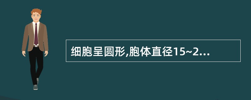 细胞呈圆形,胞体直径15~20£¯£­m,胞核较大,圆形:核染色质纤细,呈疏松网