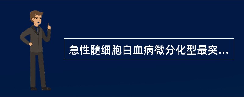 急性髓细胞白血病微分化型最突出特点是