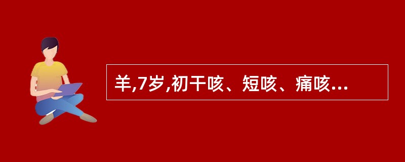 羊,7岁,初干咳、短咳、痛咳,后为长咳、湿咳,鼻孔流黏脓性鼻液,肺泡呼吸音增强,