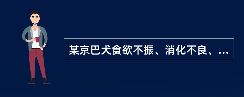 某京巴犬食欲不振、消化不良、腹部疼痛、腹泻便秘交替进行、肛门瘙痒。新排出的粪便内