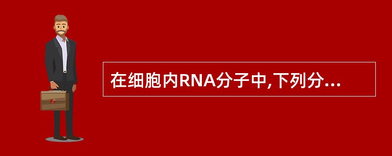 在细胞内RNA分子中,下列分子所占比例最大的是( )。A、scRNAB、mRN