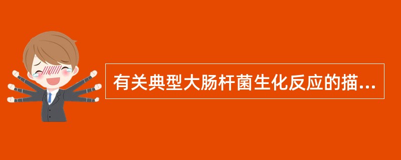 有关典型大肠杆菌生化反应的描述,不正确的是( )。A、发酵乳糖产酸产气B、吲哚形