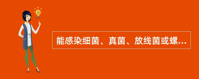 能感染细菌、真菌、放线菌或螺旋体等的微生物称A、噬菌体B、支原体C、嗜酸小体D、