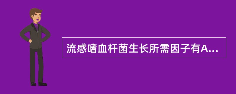 流感嗜血杆菌生长所需因子有A、X因子B、Y因子C、V因子D、T因子E、Fe -