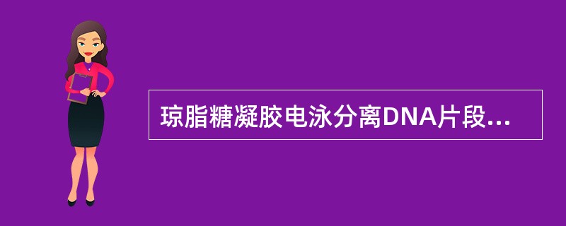 琼脂糖凝胶电泳分离DNA片段最佳范围A、5bp以下B、200bp~50kbC、1