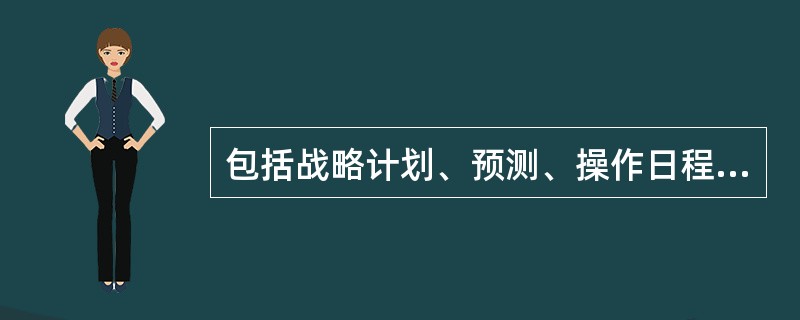 包括战略计划、预测、操作日程、预算和模型,可以是数据,也可以是文本的数据是___