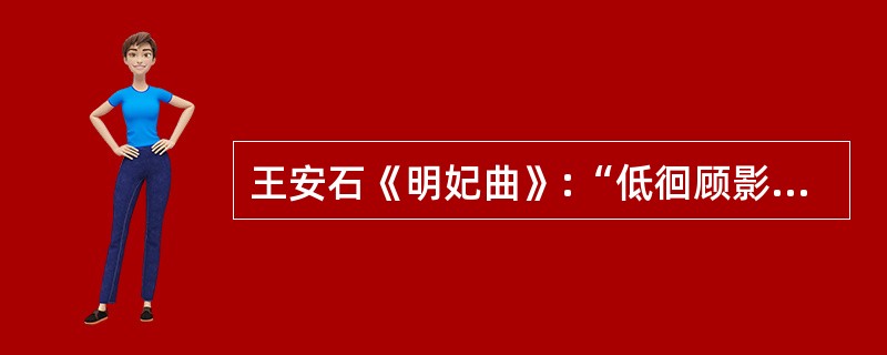 王安石《明妃曲》:“低徊顾影无颜色,尚得君王不自持”,此处“君王”是指