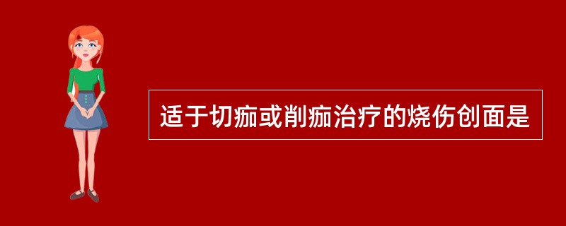 适于切痂或削痂治疗的烧伤创面是