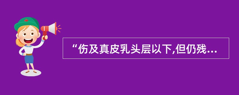 “伤及真皮乳头层以下,但仍残留部分网状层”的描述所指的烧伤创面属于几度