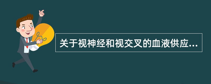 关于视神经和视交叉的血液供应,下列选项错误的是