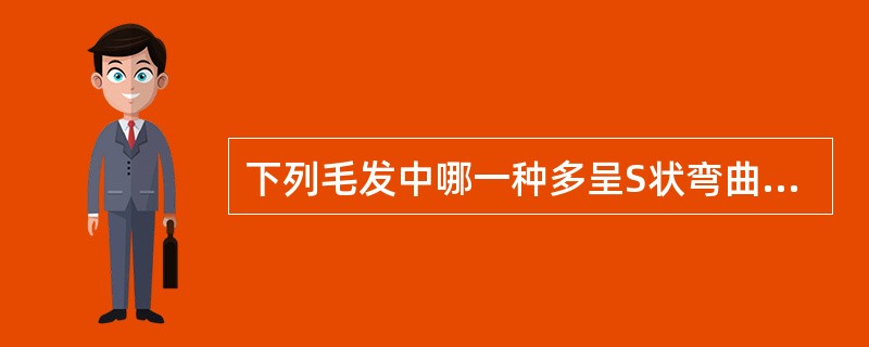 下列毛发中哪一种多呈S状弯曲或呈螺旋状。()