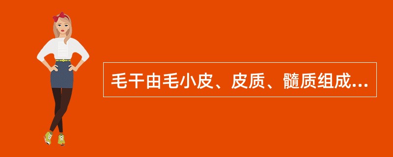 毛干由毛小皮、皮质、髓质组成,人毛与兽毛的主要区别是:人毛髓较兽毛发达,兽毛皮质