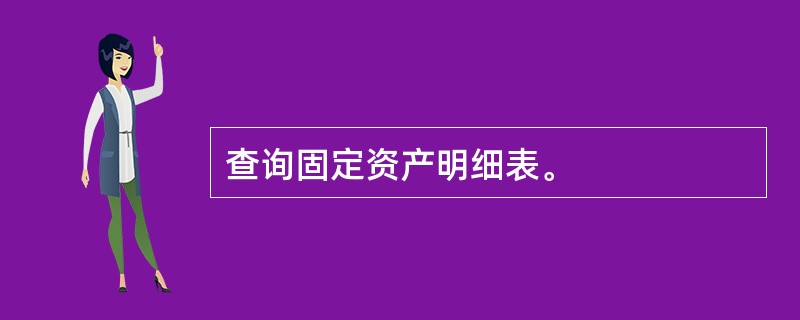 查询固定资产明细表。