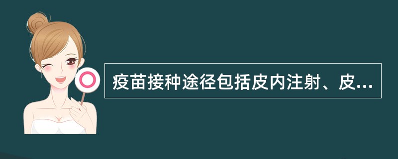 疫苗接种途径包括皮内注射、皮下注射、肌内注射、口服等四种。