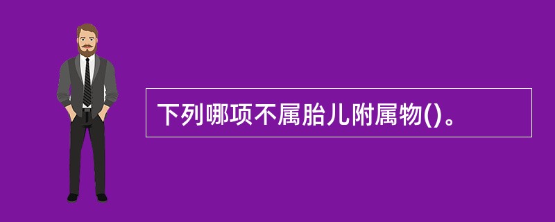 下列哪项不属胎儿附属物()。