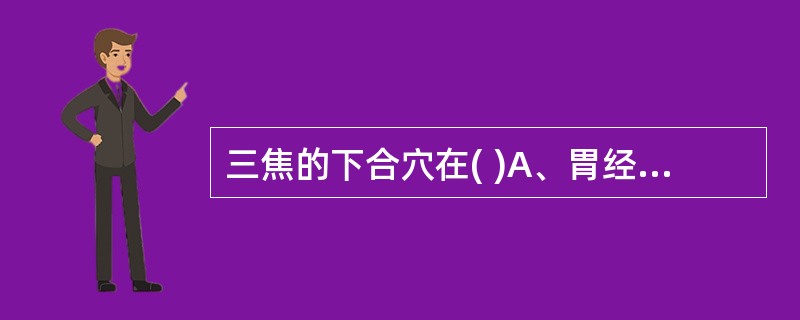 三焦的下合穴在( )A、胃经上B、胆经上C、膀胱经上D、三焦经上E、大肠经上 -