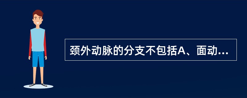 颈外动脉的分支不包括A、面动脉B、甲状腺下动脉C、颞浅动脉D、上颌动脉E、舌动脉