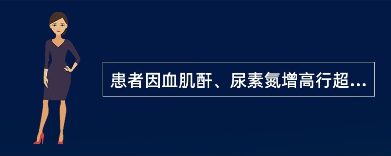 患者因血肌酐、尿素氮增高行超声检查:双肾体积缩小,肾皮质回声增强,皮髓质分界不清